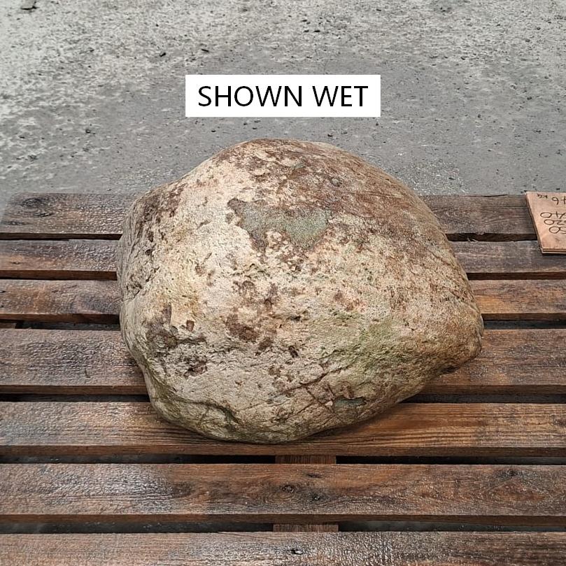 Wet stone boulder, displayed on a pallet and with interesting natural colour variations.
