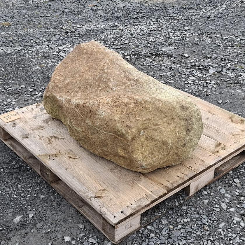 Glacial boulder showing a curved ridge and broad rounded end