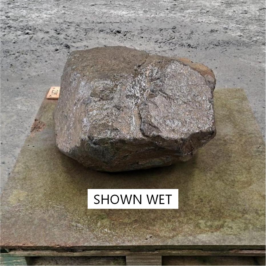 Unique glacial boulder shown wet.