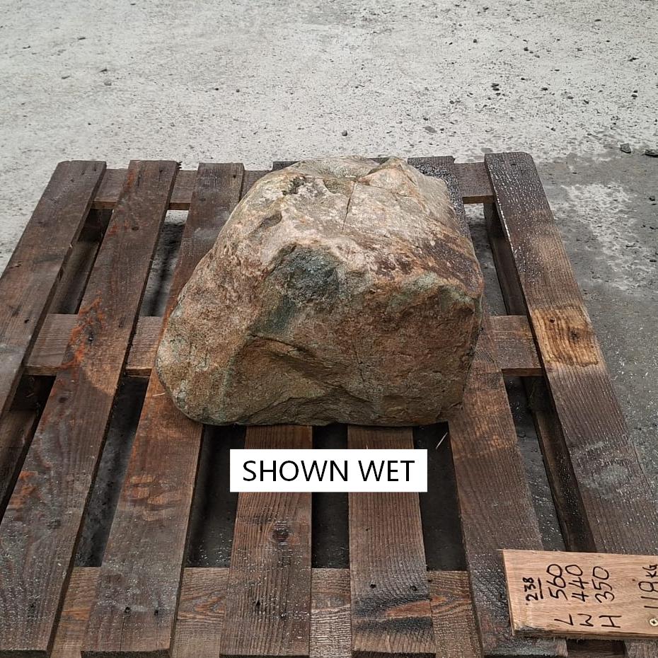 A wet boulder with natural shape, texture and colours.