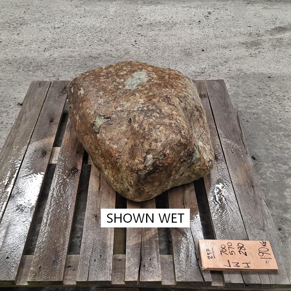 A wet glacial stone boulder with varying and mottled earthy colour tones.