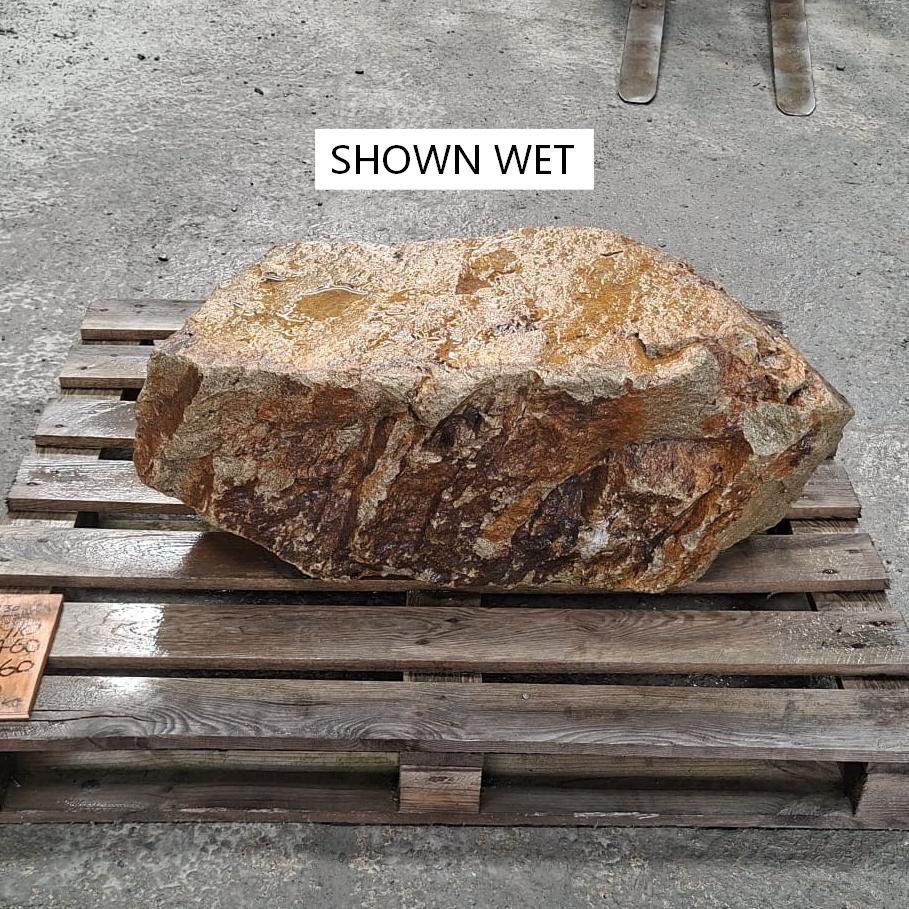 A large stone boulder shown wet, enhancing and deepening the natural colour tones.