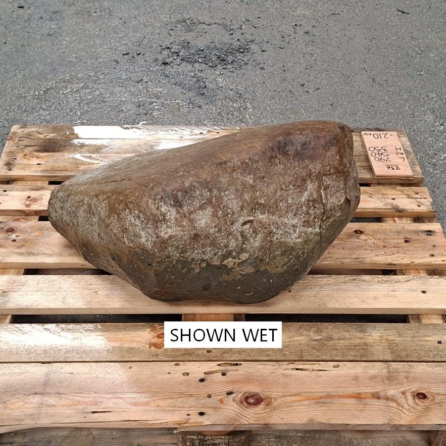 A wet stone boulder with a intersting natural shape.