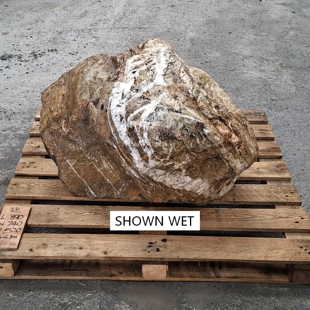 A lareg glacial stone bouldet shown wet, enhancing the natural colour tones, especially the white quarts inclusions.