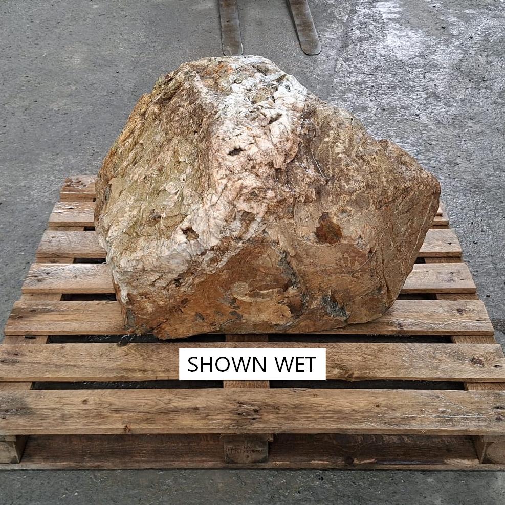 A large wet rough glacial boulder with brown, cream and white colour variations.