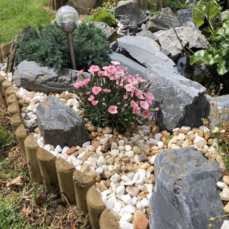 Welsh slate rockery stones in a garden border with pink flowers and white pebbles