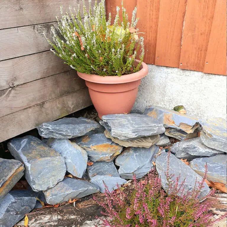Slate rockery stones arranged below a potted heather beside a timber fence