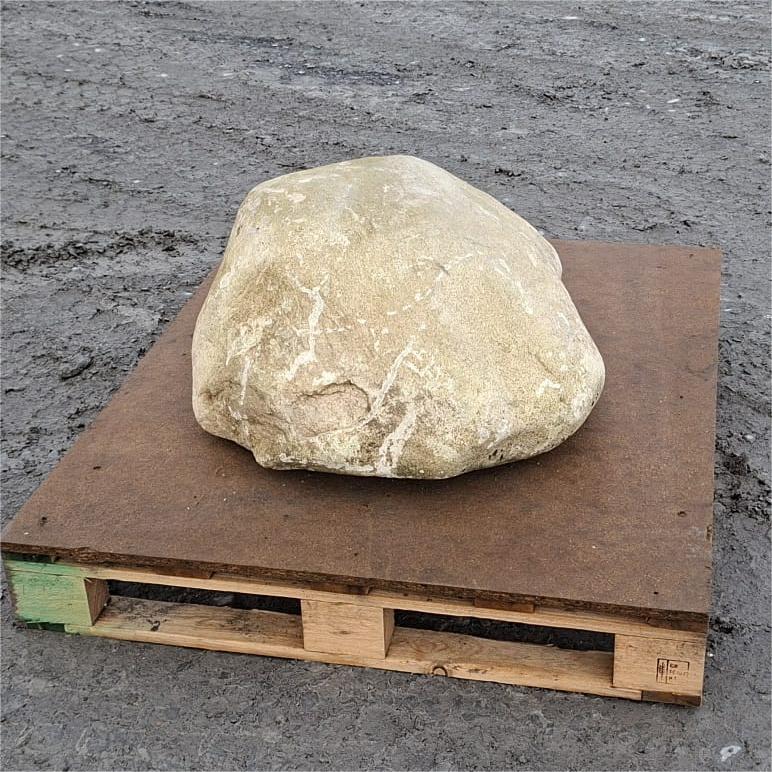 Pale glacial boulder with a domed top and white veins near its base