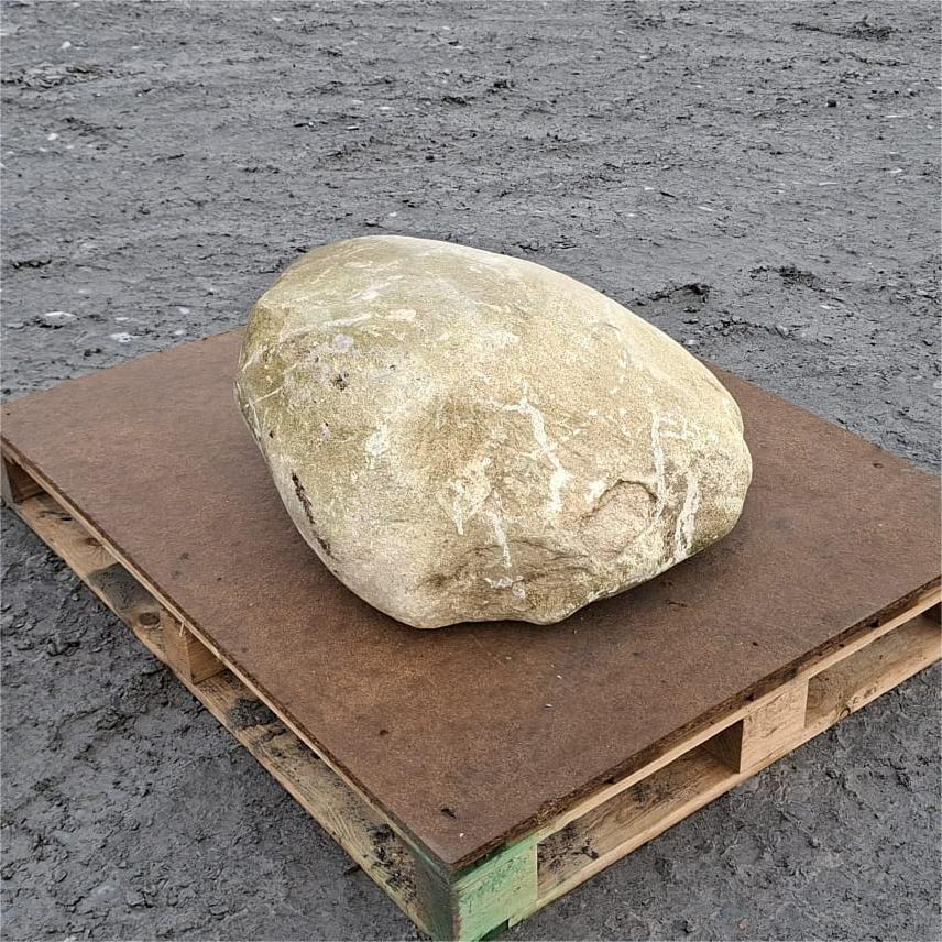 Glacial boulder showing branching pale veins around its rounded end