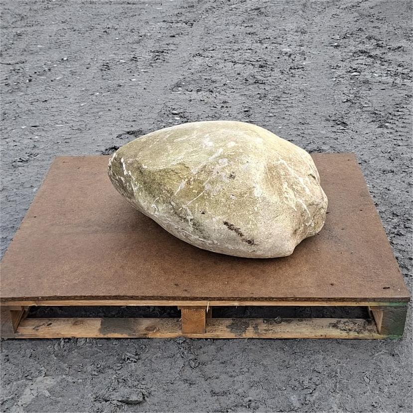 Rounded glacial boulder with pale cream colouring and thin white veins