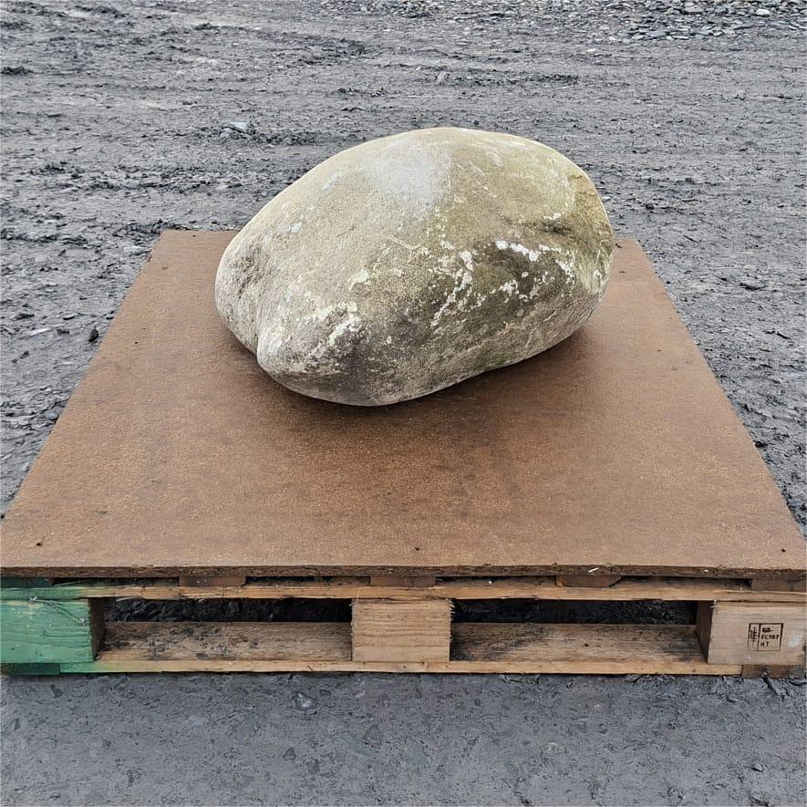 Glacial boulder showing a smooth curved top above a darker mottled base