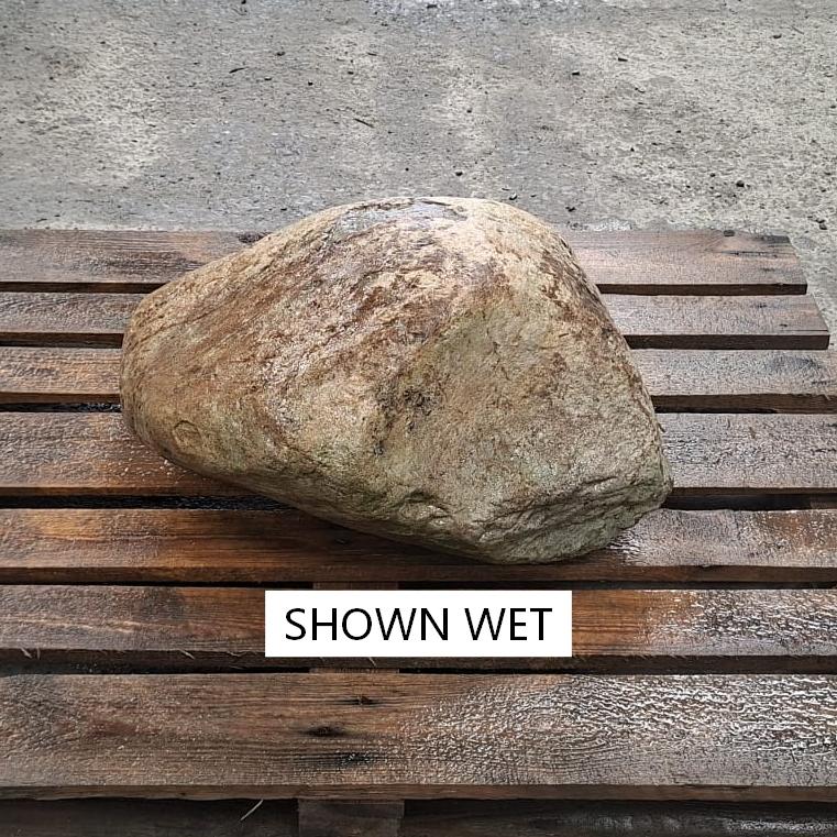 A wet glacial stone boulder with beige and brown colour tones that are deepened due to it being wet.