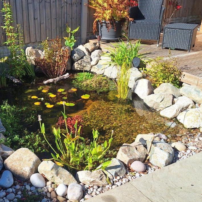 Pond Stone & Edging