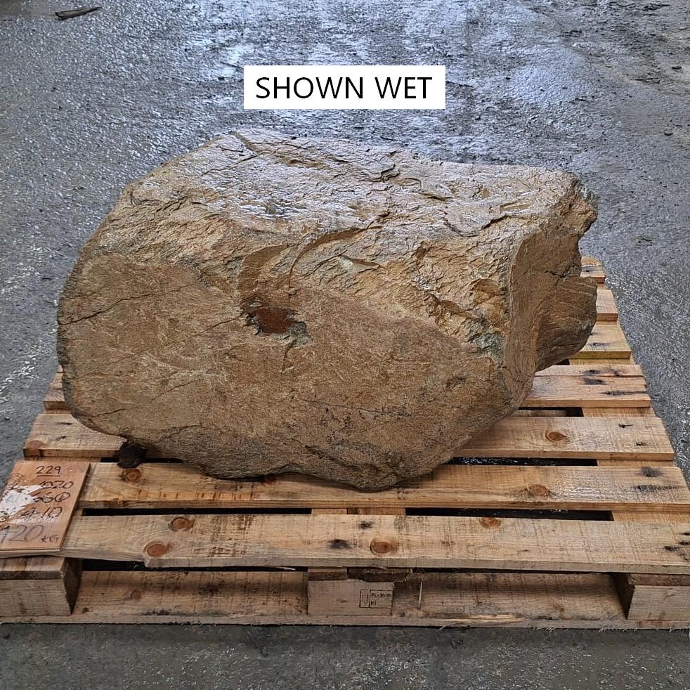 A large wet stone or boulder with a rough tan-brown surface sits on a wooden pallet outdoors.