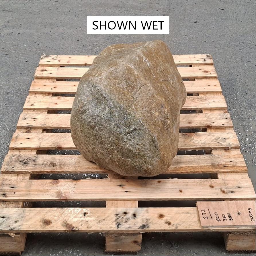 Unique glacial boulder, shown wet, and on a wooden pallet.