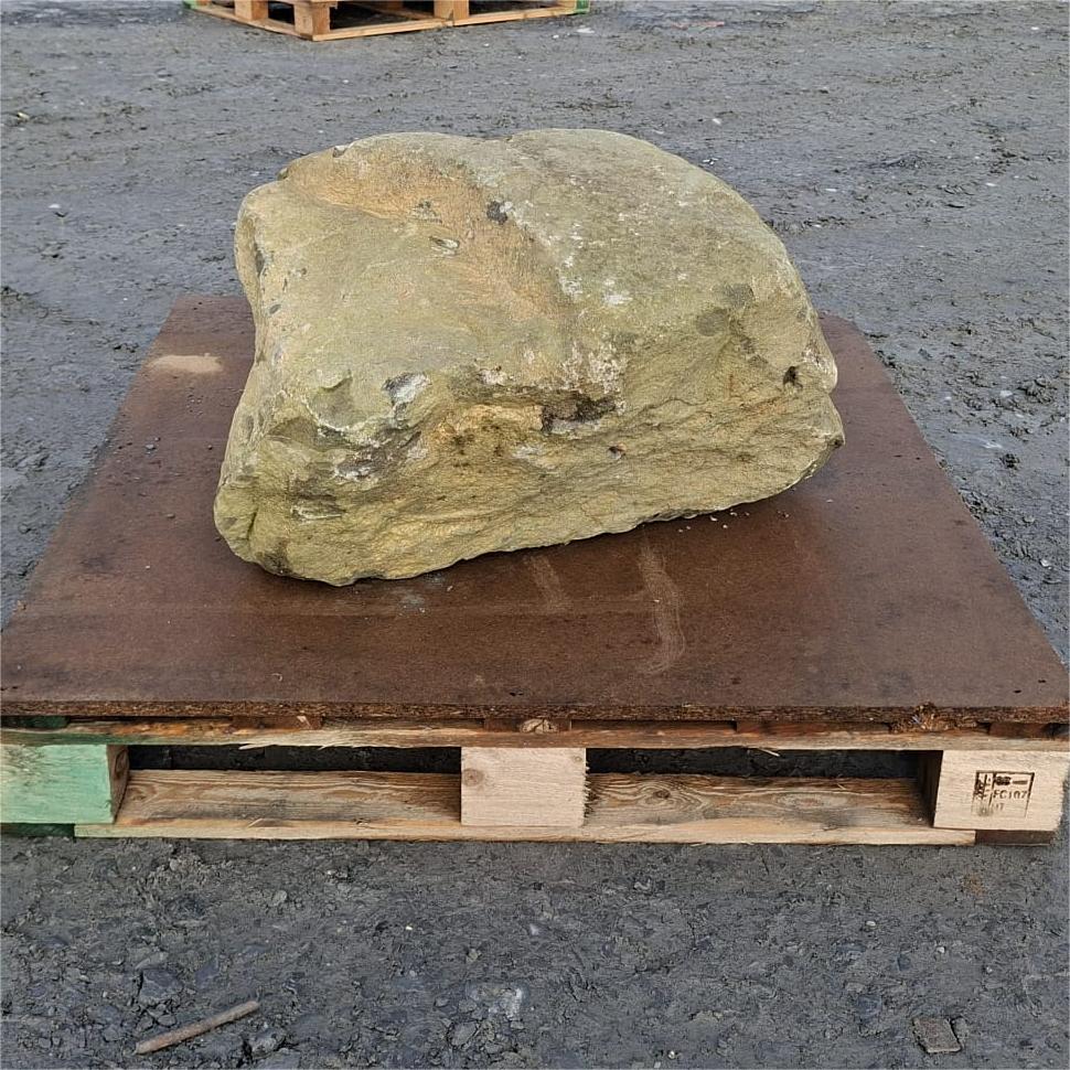 Glacial boulder showing a rough ochre face with small pale patches