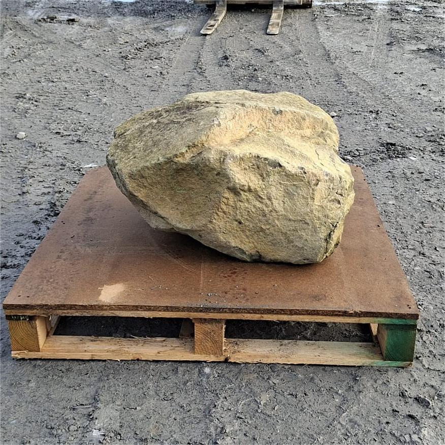 Glacial boulder with a shallow stepped ridge across its golden grey surface