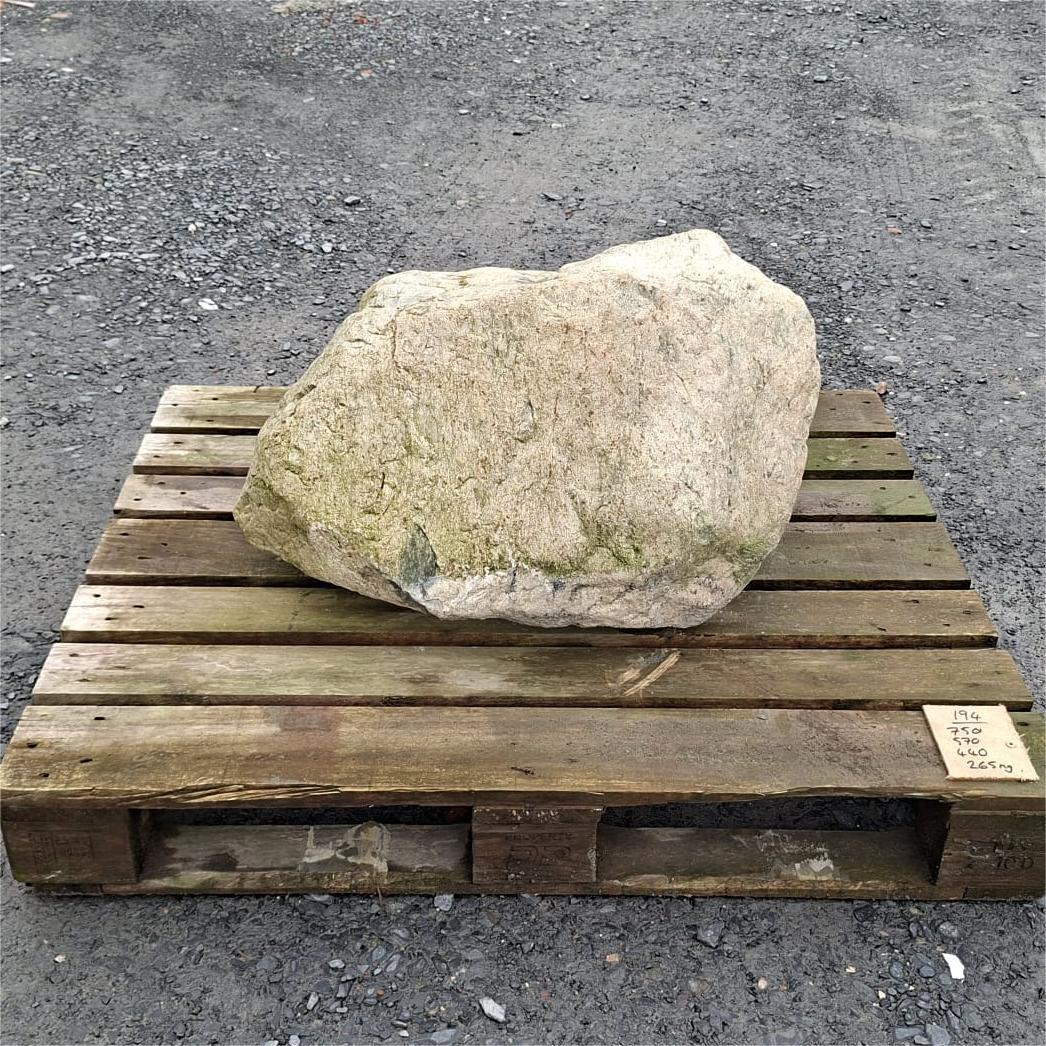 Glacial boulder showing a broad cream face with greenish markings near its base