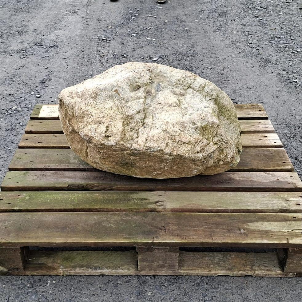 Pale glacial boulder with an irregular rounded shape and rough creased surface