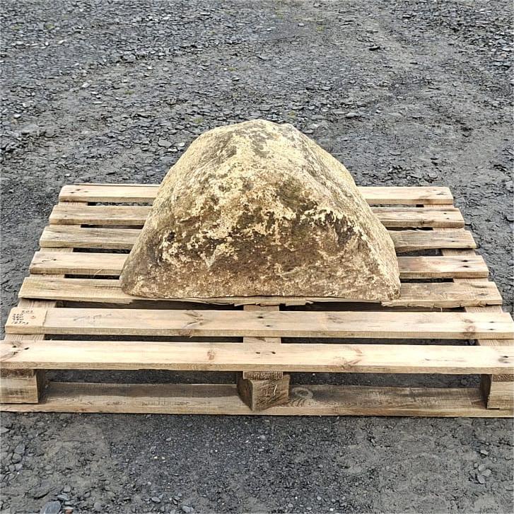 Individual glacial boulder with a triangular outline and cream and brown mottling