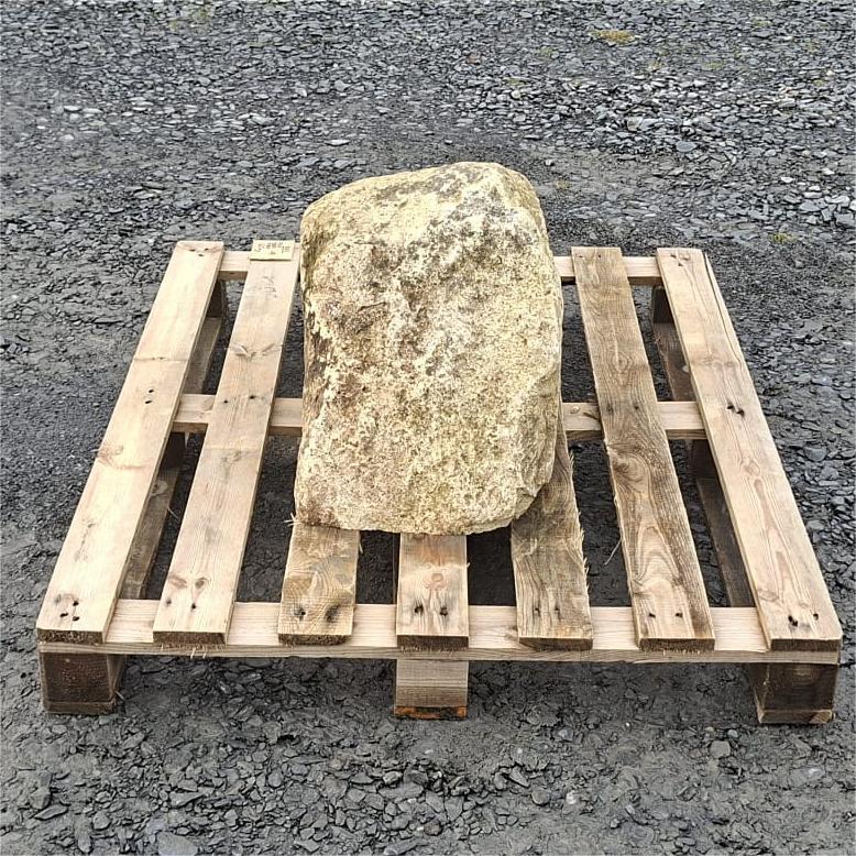 Glacial boulder showing a narrow rounded end with pale mottled texture
