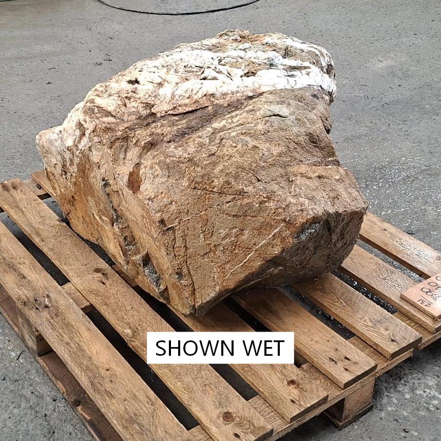 Natural wet stone boulder showing the natural variations and imperfections.