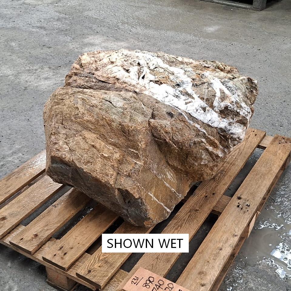 A large wet stone boulder on a pallet, shown wet, and showing the changing mineral content and colour tones.